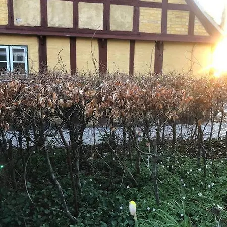 Idyllisk, Historisk Ved Fjorden I Casa vacanze *
